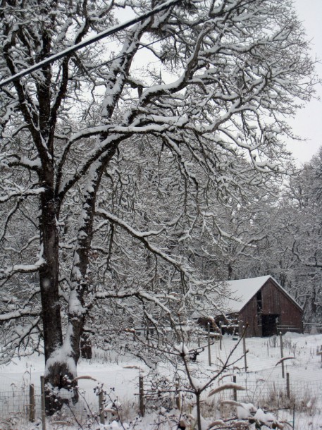 2013.12_snowy_barn